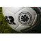 Мяч для футбола Winner Lenz FIFA Approved (бело-синий)