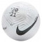 Мяч для футбола Nike Flight 2021 OMB (арт. CN5332-100) + подарок