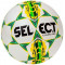 Мяч для футбола Select Campo Pro (размер 3)