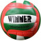 Волейбольный мяч Winner Speed