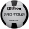 Волейбольний м'яч Wilson Pro Tour (арт. WTH20119XB)